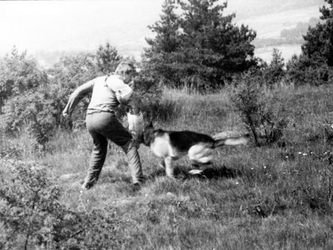 Foto 60